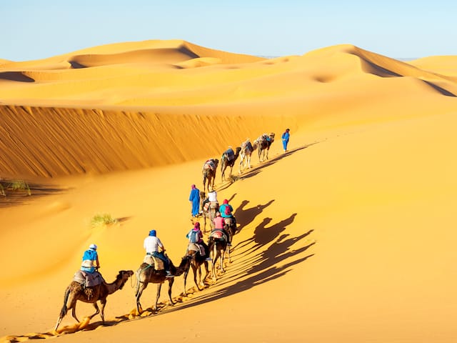 Royal Rajasthan Tour - 6 Days / 5 Nights
